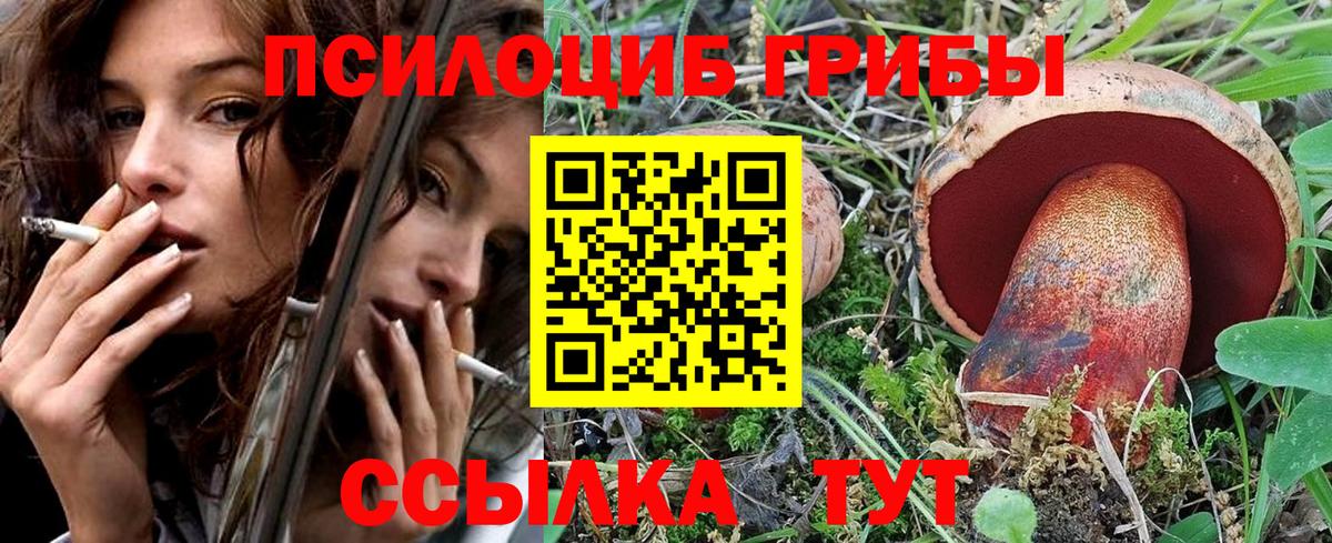 Псилоцибиновые грибы Psilocybine cubensis  Вход с VPN  Луховицы  Псилоцибиновые грибы Psilocybe 