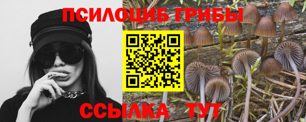 Галлюциногенные грибы Cubensis Луховицы